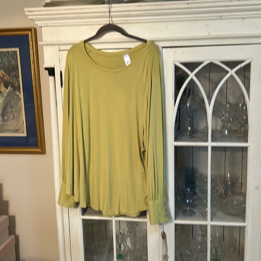 Marla wynne 3X pear color blouse
